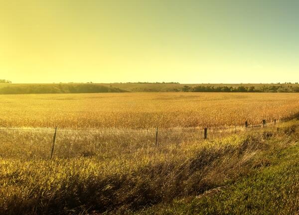 Farm-image